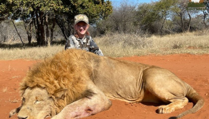 July 2022 Trophy African Lion Hunt