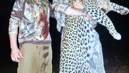 Leopard Hunt Africa Hunt Lodge
