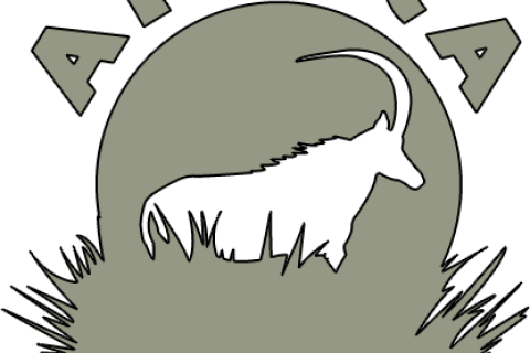 Africa Hunt Lodge - Africa Hunting