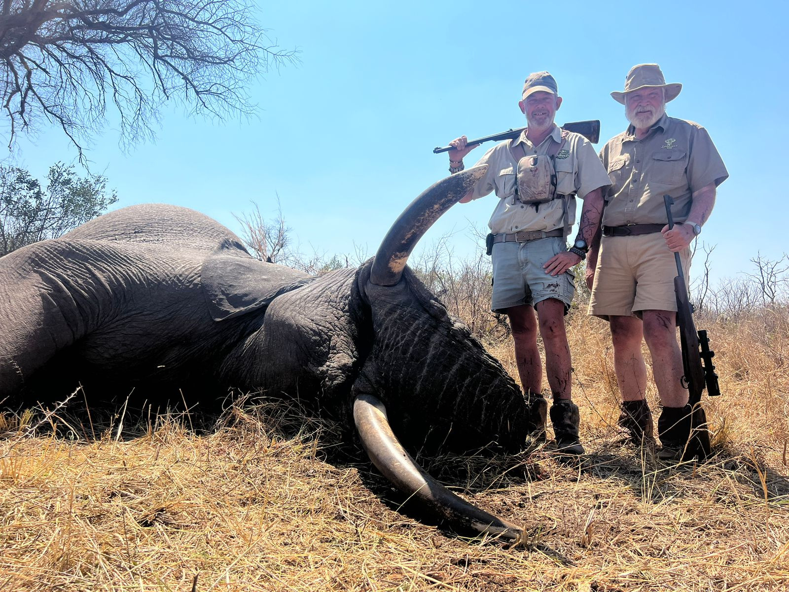 Elephant Hunt Zimbabwe Africa Hunt Lodge